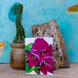 Flower Power Notecards by Mad Honey Studio